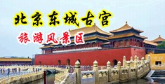 男男互相吃鸡18禁中国北京-东城古宫旅游风景区